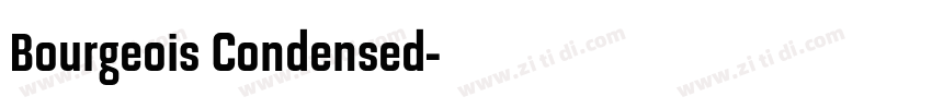 Bourgeois Condensed字体转换 Bourgeois Condensed字体转换